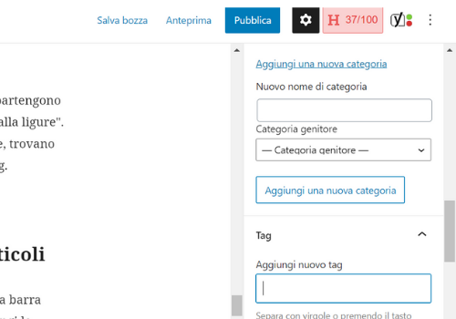 come aggiungere categorie e tag