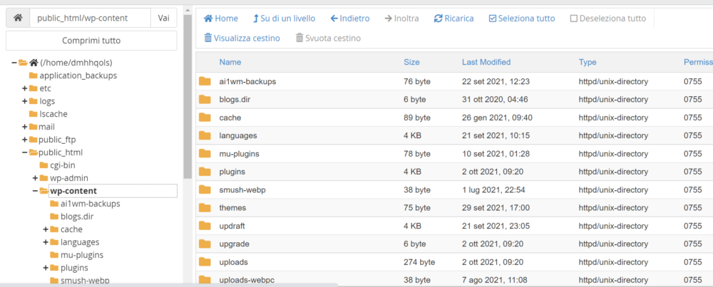 Come liberare spazio su disco da CPanel